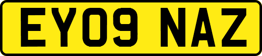 EY09NAZ