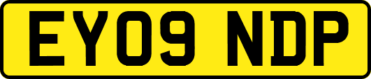 EY09NDP