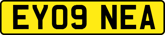 EY09NEA