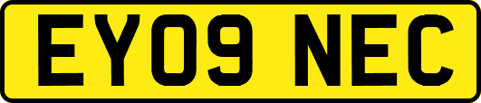 EY09NEC