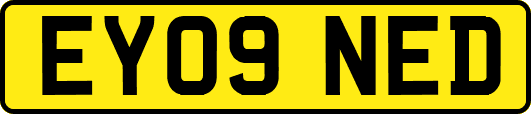 EY09NED