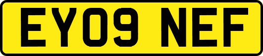 EY09NEF