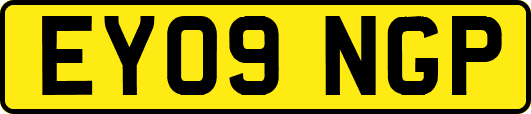 EY09NGP