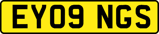 EY09NGS