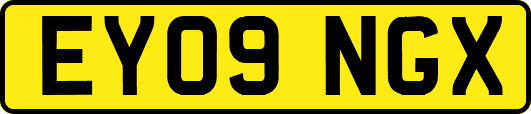 EY09NGX