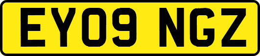 EY09NGZ