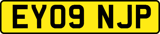 EY09NJP
