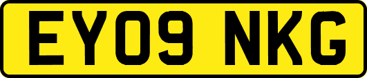 EY09NKG