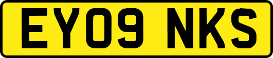 EY09NKS