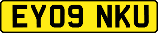 EY09NKU
