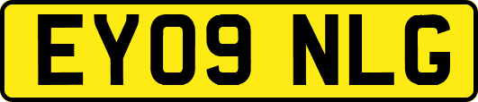 EY09NLG