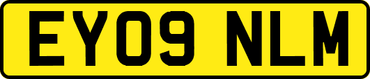 EY09NLM
