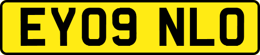 EY09NLO
