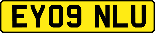 EY09NLU