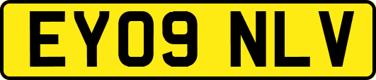 EY09NLV