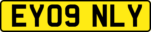 EY09NLY