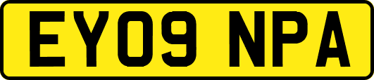 EY09NPA