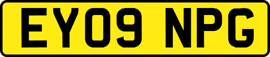 EY09NPG