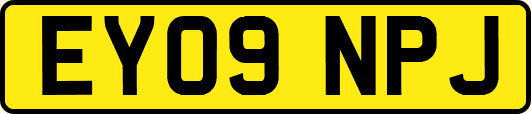 EY09NPJ