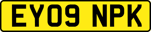 EY09NPK