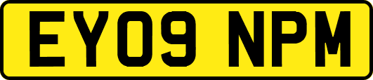 EY09NPM
