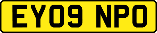 EY09NPO