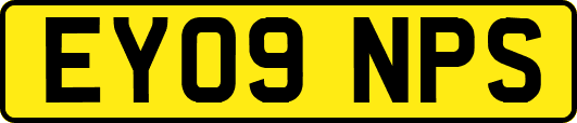 EY09NPS