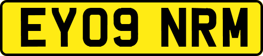 EY09NRM