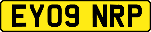 EY09NRP