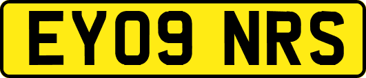 EY09NRS