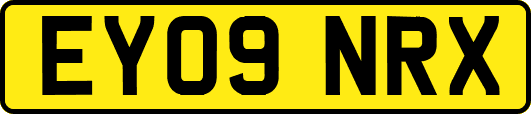 EY09NRX