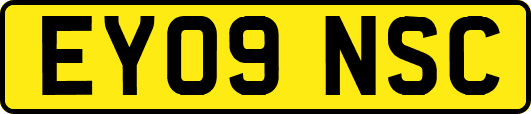 EY09NSC