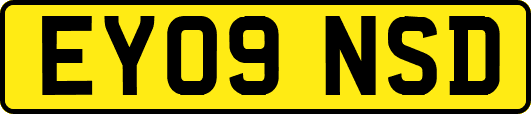 EY09NSD