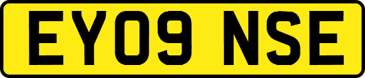 EY09NSE