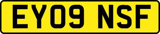 EY09NSF