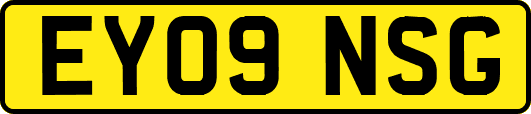 EY09NSG