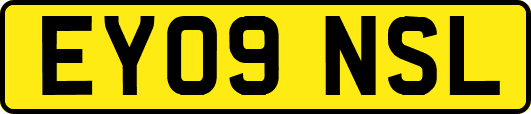 EY09NSL