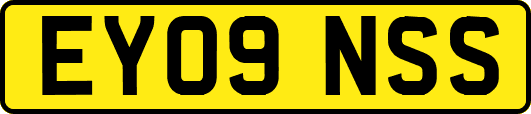 EY09NSS