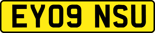 EY09NSU