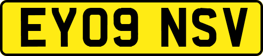 EY09NSV