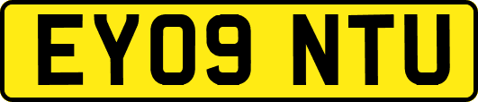 EY09NTU