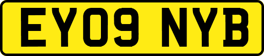 EY09NYB