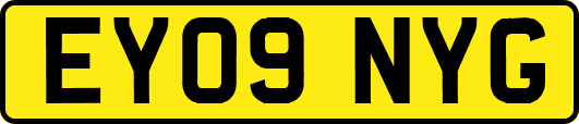 EY09NYG