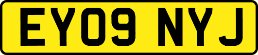 EY09NYJ