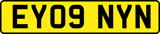 EY09NYN