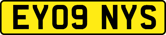 EY09NYS