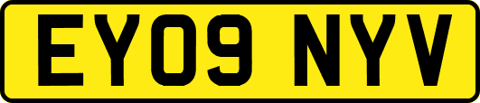 EY09NYV
