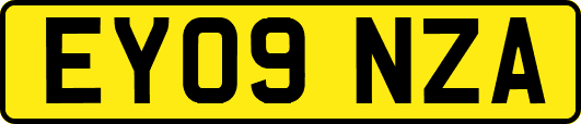 EY09NZA