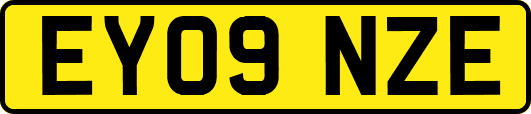 EY09NZE