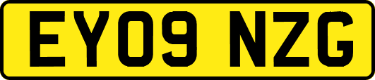 EY09NZG